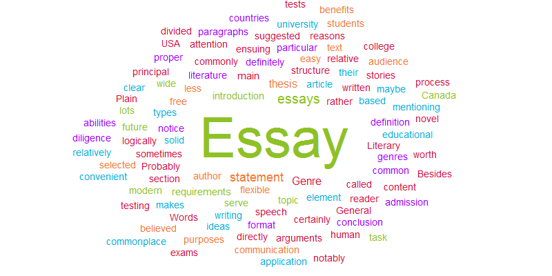 What is an essay as a literary genre?