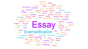 How to Write an Exemplification Essay photo